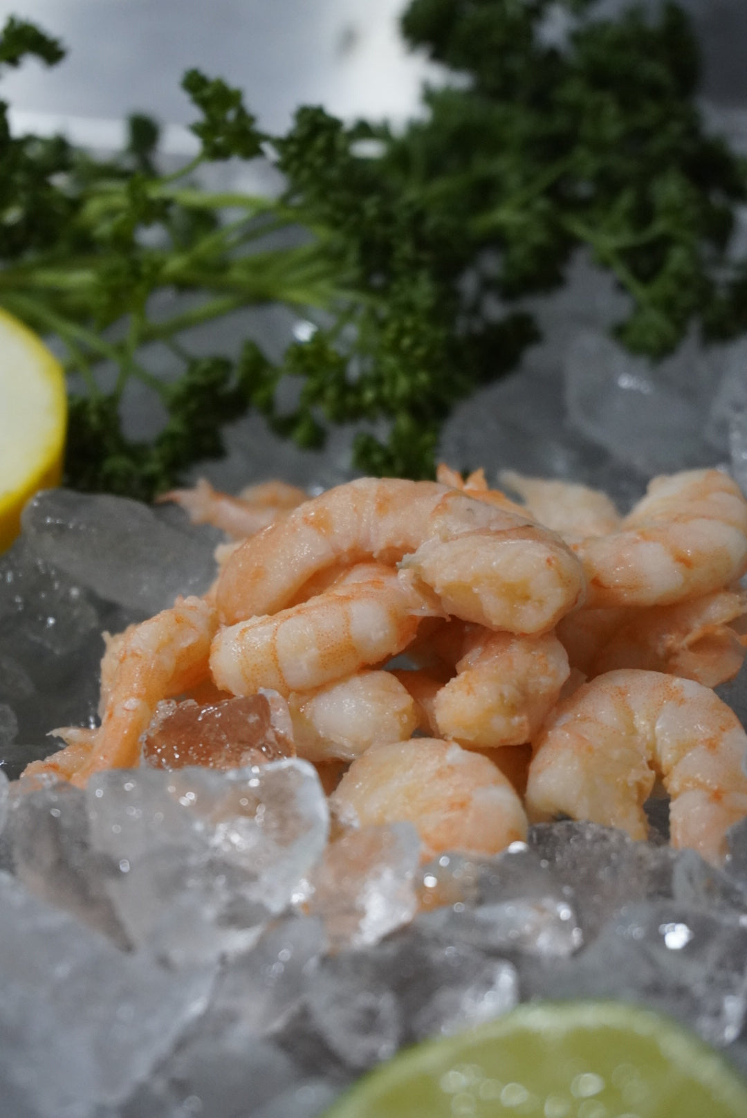 Camarón precocido de pesca salvaje (700 gr)