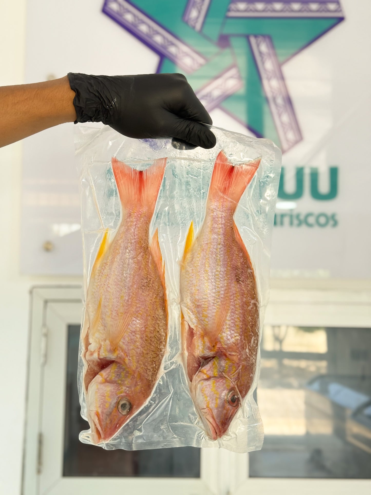 Pargo Rojo