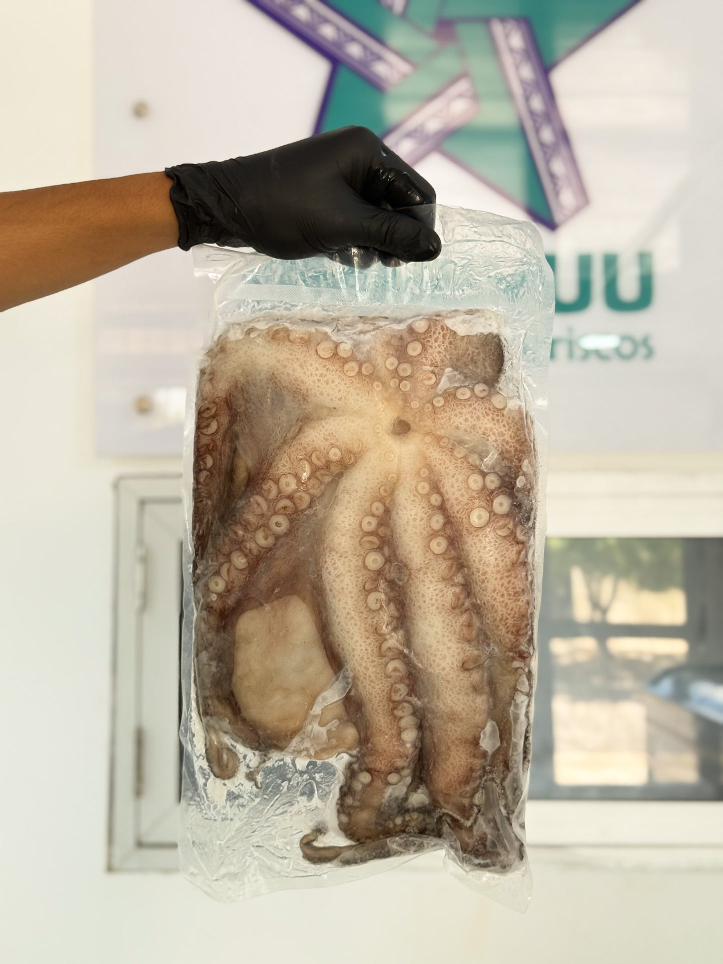 Pulpo criollo (1 - 2 kg)