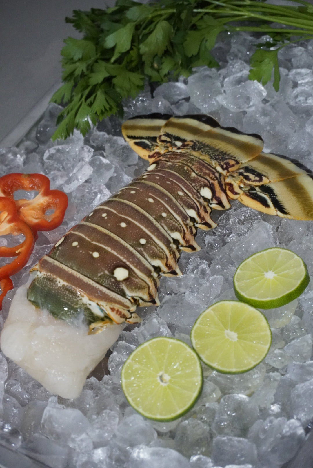 Cola de Langosta Grande (Lb)