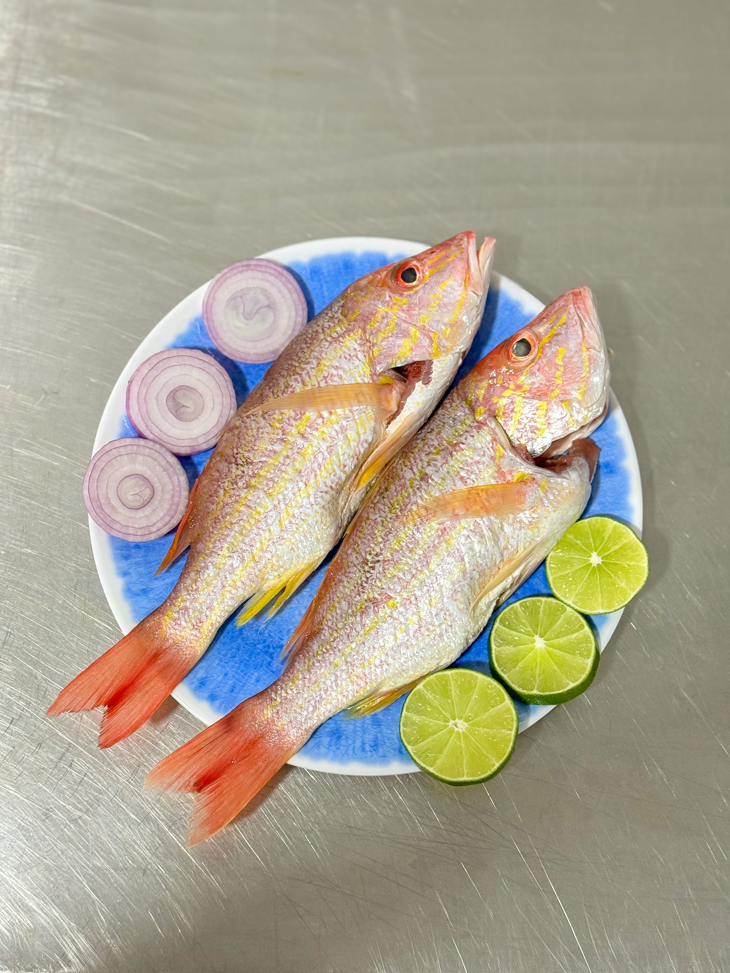 Pargo Rojo
