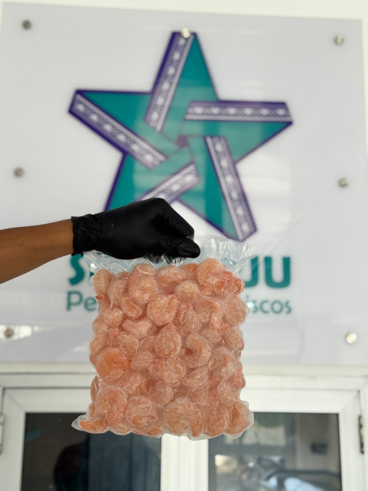 Camarón precocido importado (Kg)