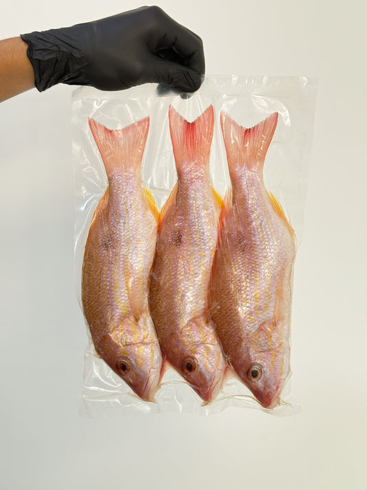 Pargo Rojo