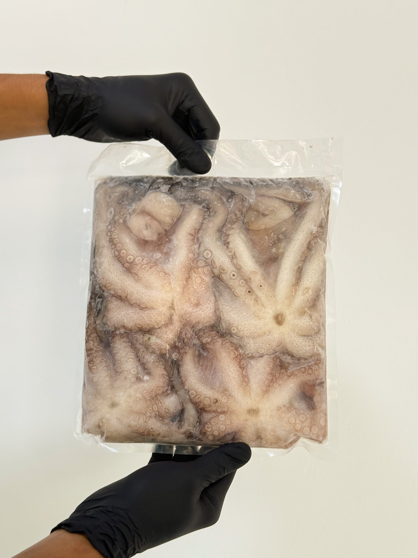 Pulpo criollo (1 - 2 kg)