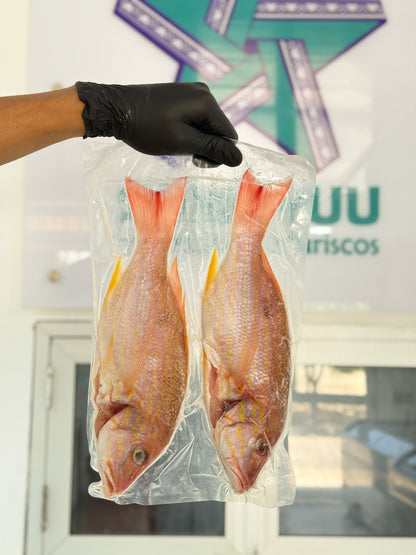 Pargo Rojo