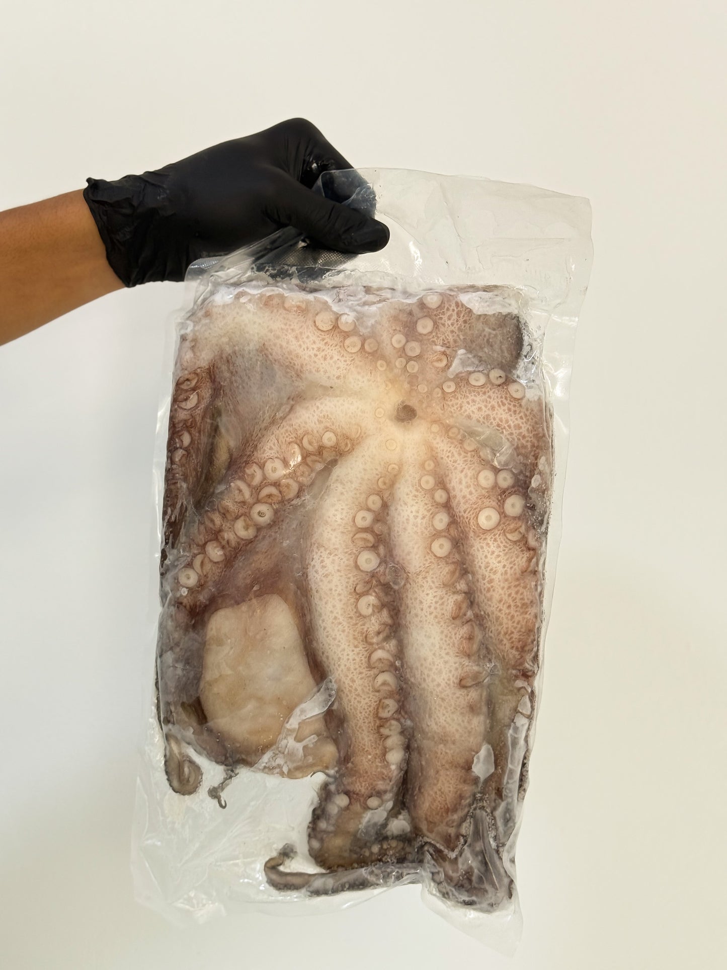 Pulpo criollo (1 - 2 kg)