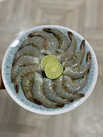 Langostinos (Lb)
