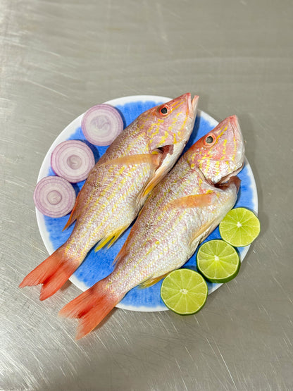 Pargo Rojo